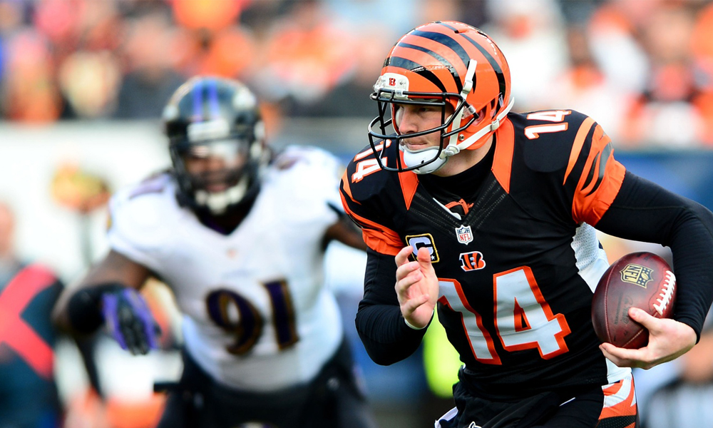 Andy_Dalton_Bengals_2013_5